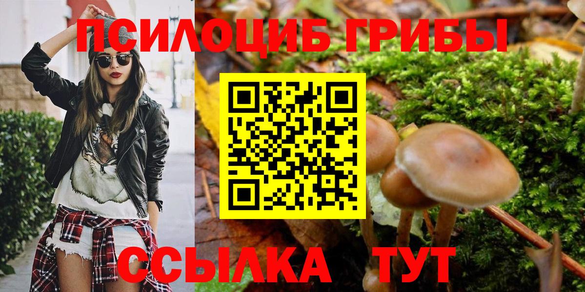 Красноперекопск  Галлюциногенные грибы Cubensis  Вход с VPN  Псилоцибиновые грибы GOLDEN TEACHER 